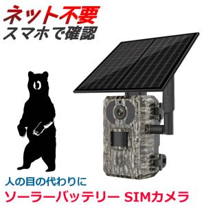 AXIS PTZネットワークカメラ 02769-001 M5526-E PTZ プロによる