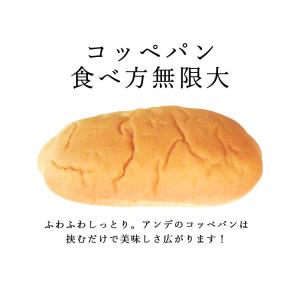 コッペパン (2個入り) [#1360] アン...の詳細画像1