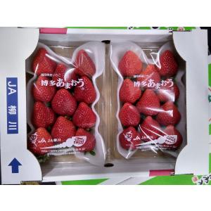 いちご　イチゴ　苺　Strawberry　あまおう　デラックス　卒業祝い　入学祝い　就職祝い　2パック　北海道と沖縄県以外