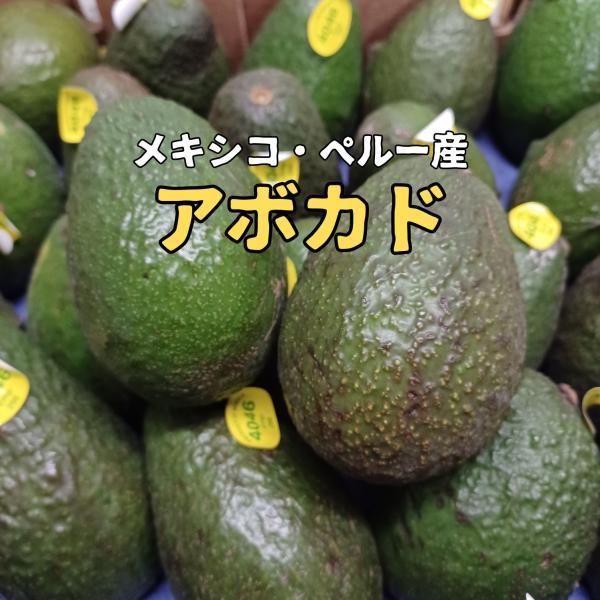 アボカド Avocado 15玉 メキシコ・ペルー産 1玉150グラム前後　美容 健康 フルーツ ギ...