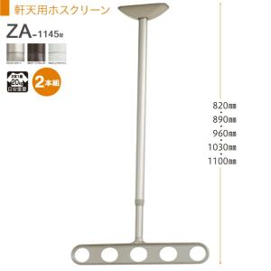物干し 屋外 軒下天井吊り下げタイプ 物干金物 物干し掛け 川口技研 軒