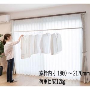 物干し 室内物干 窓枠 取付タイプ ユニットフレクリーン Pro30イン