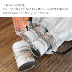非常食 5年 缶パン デニッシュ チョコレート...の詳細画像1