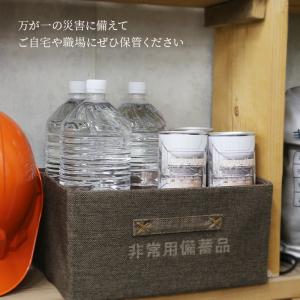 非常食 5年 缶パン デニッシュ チョコレート...の詳細画像2