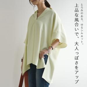 スキッパーシャツ ストライプ レディース 半袖 体型カバー 夏 春 ブラウス トップス 無地 薄手 白 50代 40代 30代 20代 襟付き ゆったり おしゃれ