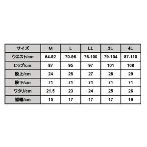 スキニーパンツ 黒 レディース 春夏秋冬 カラ...の詳細画像2