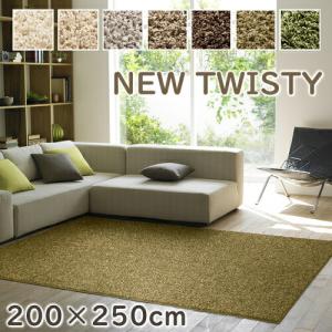 ラグマット スミノエ シャギーラグ ニューツイスティ 約3畳 200×250ｃｍ 長方形 防ダニ アレルブロック 防炎