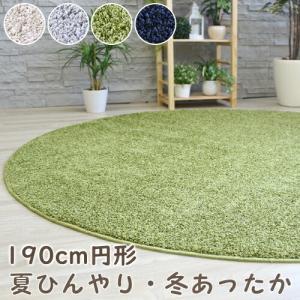 プレーベル ラグマット ラグ ジャスパー 190cm円形 抗菌 防ダニ 洗える
