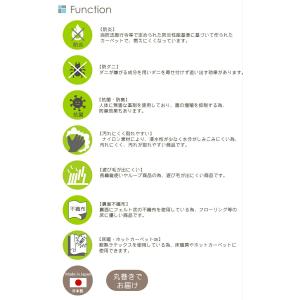 ラグ カーペット ラグマット 国産 高級 ジェ...の詳細画像4