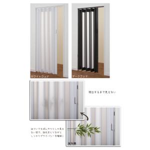 パネルドア オーダー シアーズ SHEERS ...の詳細画像5