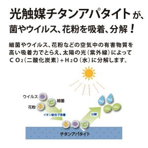 オーダーマット キッチンマット ジャスパープラ...の詳細画像5