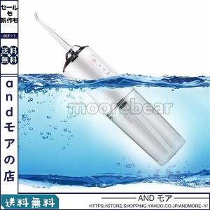 ウォーターピック ウォーターフロス　口腔洗浄器 USB充電式