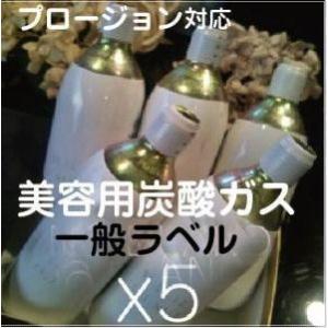 プロージョン対応　炭酸ガスカートリッジ　５本組(パッキン付き)