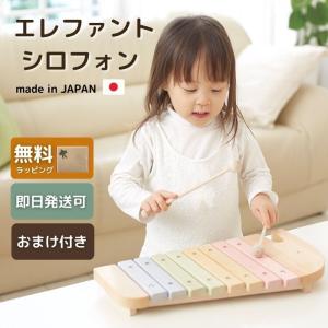 名入れ・ラッピング無料】 鉄琴 おもちゃ 楽器 二段メタルフォン 名