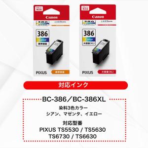 【最短当日出荷】キャノン 純正インク TS55...の詳細画像4