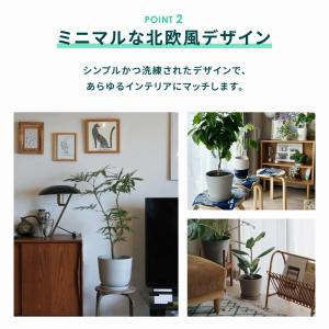 植木鉢 鉢 ecopots Oslo 8号 お...の詳細画像3