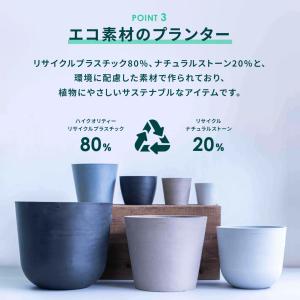 植木鉢 鉢 ecopots Oslo 8号 お...の詳細画像4