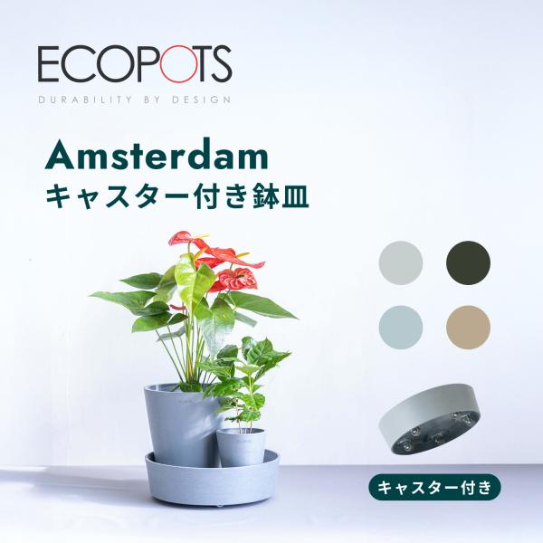 キャスター 付き 鉢皿 10号 エコポッツ ECOPOTS L 大型 マット おしゃれ 北欧 プラス...