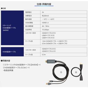 AV004 データシステム Datasyste...の詳細画像2