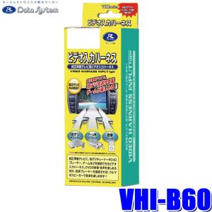 Data System（データシステム） VIK-U68 Data System ビデオ入力