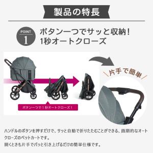 AGILE 2 FikaGO フィカゴー アジ...の詳細画像5