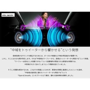 TS-F1650S pioneer パイオニア...の詳細画像2