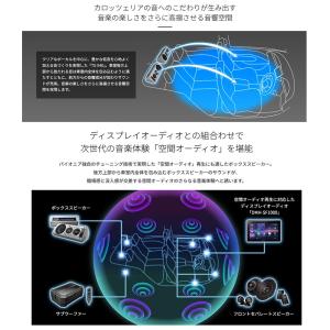 TS-X40 Pioneer パイオニア ca...の詳細画像3