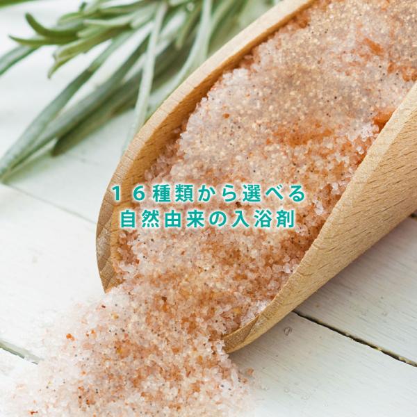 &amp;SH 16種類から選べるバスソルト入浴剤 デッドシーソルト＆オイルズ 35ｇ ( バスソルト 入浴...