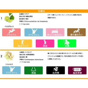 &SH 33種類から選べる7本セット ...の詳細画像3