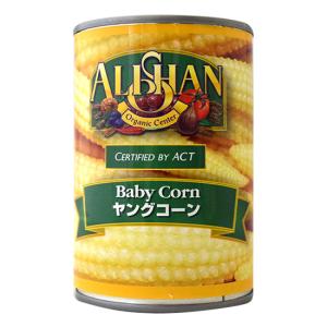 ヤングコーン 缶 食品 の商品一覧 通販 Yahoo ショッピング