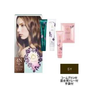 資生堂 ベネフィーク ヘアカラー 5Y [ shiseido しせいどう シセイドウ ]- 送料無料 - 北海道・沖縄を除く｜andsh