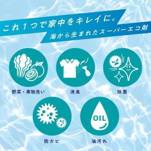 ほたて貝殻焼成パウダー 100%自然由来シェル...の詳細画像1