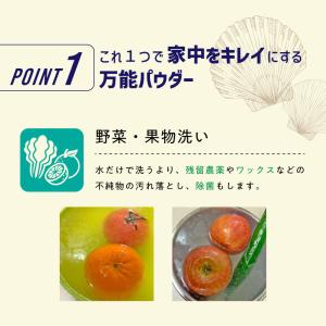 ほたて貝殻焼成パウダー 100%自然由来シェル...の詳細画像2
