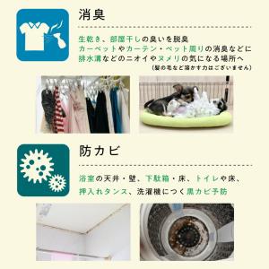 ほたて貝殻焼成パウダー 100%自然由来シェル...の詳細画像3