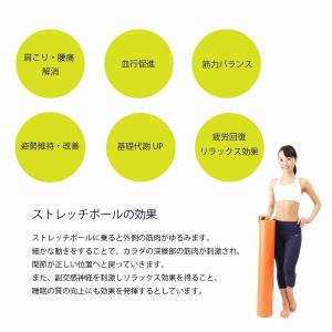 &STUDIO ストレッチ用ポール ヨ...の詳細画像2