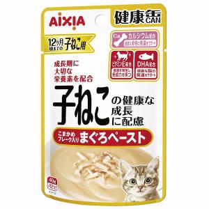 アイシア 健康缶パウチ シニア猫用 下部尿路ケア 40g×☆12個☆ KCP-8