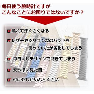 アップルウォッチ バンド ステンレス Appl...の詳細画像3