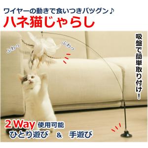 猫じゃらし おもちゃ 自動 吸盤 ねこ ネコ ...の詳細画像3