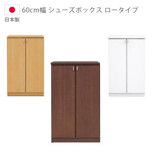 下駄箱 完成品 シューズボックス 玄関収納 幅60 ロータイプ スリム