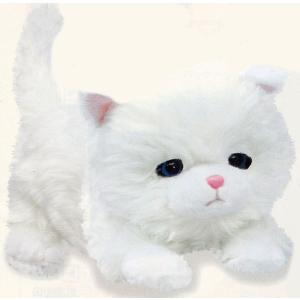 ねむねむにゃんこ ブランちゃん