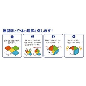 ピープル ピタゴラス 知育いっぱい!ボールコー...の詳細画像5