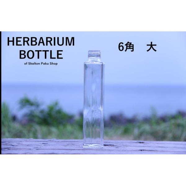キャップ付 ハーバリウム ボトル 瓶「6角　50本セット　プラ製ホワイト」ガラス瓶  透明瓶 花材 ...