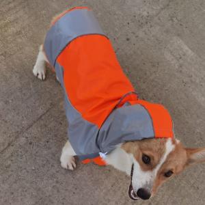 犬 レインコート 中型犬 大型犬 ポンチョ 犬...の詳細画像2