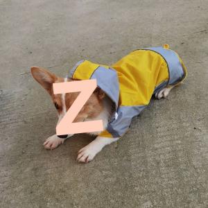 犬 レインコート 中型犬 大型犬 ポンチョ 犬...の詳細画像3