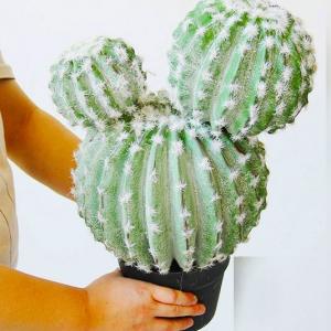 サボテン玉 鉢植え 卓上 人工観葉植物 人工盆栽 小型 大型 フェイクグリーン フェイク植物 枯れない 水やり不要 簡単世話いらず 室内