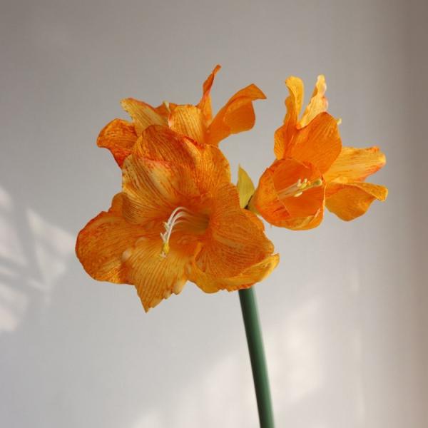 フェイクフラワー 造花 インテリア 生け花 観葉植物 枯れない 花瓶に入ったシルクフラワー 北欧 ア...