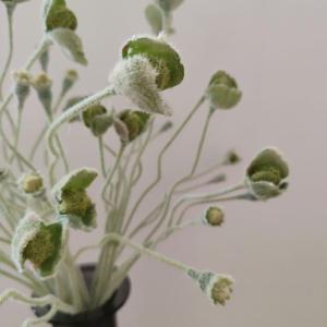 フェイクグリーン 造花 花 蕾 インテリア リ...の詳細画像3