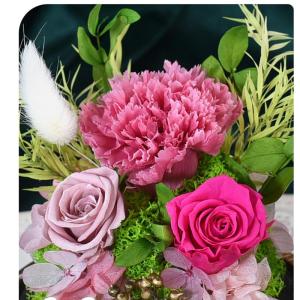 プリザーブドフラワー ガラスドーム 永遠の花 ...の詳細画像2