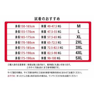Tシャツ メンズ 半袖 丸首 三国志 関羽 武...の詳細画像2