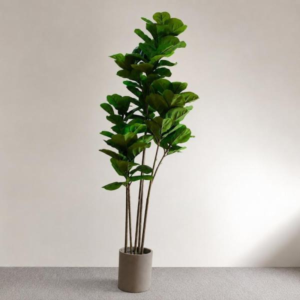 人工観葉植物 フィカス カシワバゴムの木 リアル 本物そっくり 190cm 100枚葉 5本幹 鉢 ...